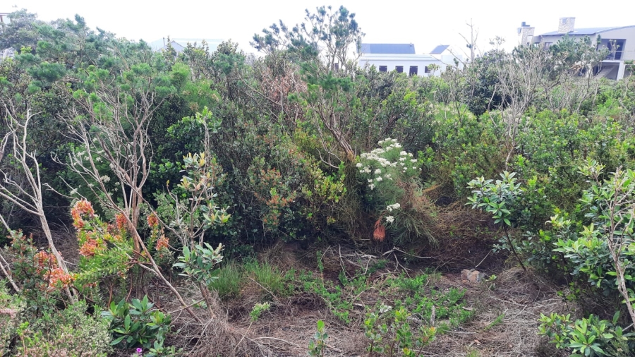 0 Bedroom Property for Sale in Bettys Bay Western Cape